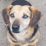 Sufni csal&aacute;d Bar&aacute;zda