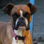 B&eacute;kafej - reserviert