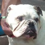 Bowling - RESERVIERT