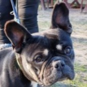 Brigida - RESERVIERT