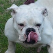 Evelin - RESERVIERT!