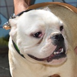 F&uuml;l-Chi - RESERVIERT