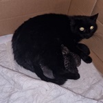 Febru&aacute;ri Csal&aacute;d