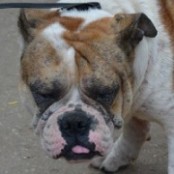 Frapp&eacute; - RESERVIERT