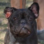 F&uuml;lem&uuml;le - RESERVIERT