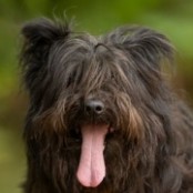 F&uuml;rge - RESERVIERT