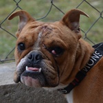 HomokSam - RESERVIERT