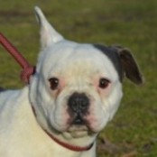 H&oacute;vir&aacute;g