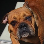 Karamella - reserviert