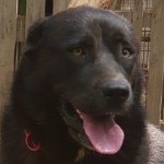 K&aacute;tya - reserviert