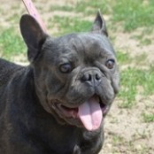 K&aacute;zm&eacute;r