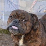 Keira Knightley - RESERVIERT