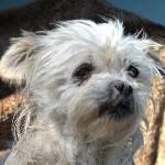 Marcella - RESERVIERT