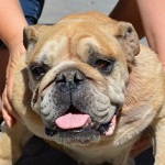 Marie Curie - RESERVIERT