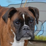 M&oacute;nimam&oacute;