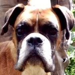 Nyal&oacute;ka - reserviert