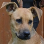 P&aacute;lma - RESERVIERT