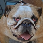 Ray Ben - RESERVIERT