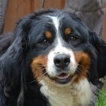 Selphie - VERMITTELT