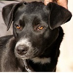 Sz&eacute;ps&eacute;g