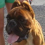 Tim&uacute;r - reserviert