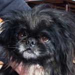 Wellington - reserviert 