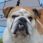 Zo&aacute;rd - RESERVIERT