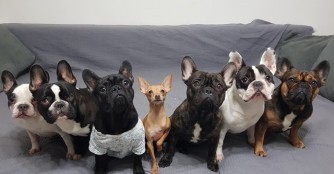 DeVito hat seine Chance genutzt :)