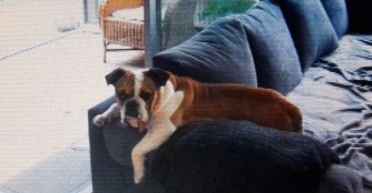 M&aacute;sa hat ihr Gl&uuml;ck gefunden