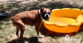 Denise ist schon wieder auf den Beinen :)