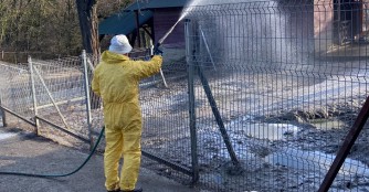 Katastrofe! Vogelgrippe im NOAH Tierheim Ungarn! 