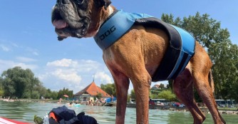 BoxerOpi  Sp&aacute;rta genie&szlig;t das  Leben!