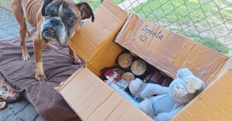 Sp&aacute;rta freut sich riesig &uuml;ber die Futterspenden!