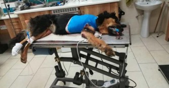 Notoperation in der Silvesternacht