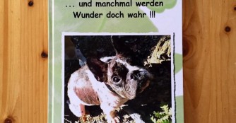 Ein Buch &uuml;ber Foszl&aacute;ny!