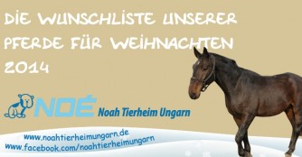 Wunschliste unserer Pferde- und Eselherde
