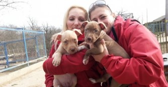 Mocaccino und Macchiato, die Kaffee-Geschwister