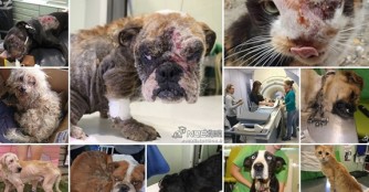 Wir brauchen Eure Hilfe!