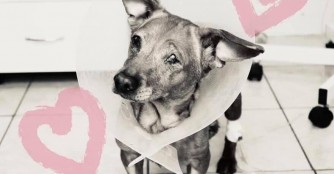 Kein Happy End f&uuml;r Anika :(