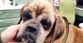 Weiterhin Sorge um Antik