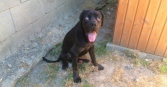 Hilfe f&uuml;r Athos