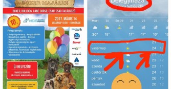 Am 14.05.2017 findet das 10. BoxER Maifest statt!