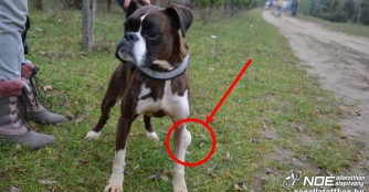 Candy's Pechstr&auml;hne muss enden!