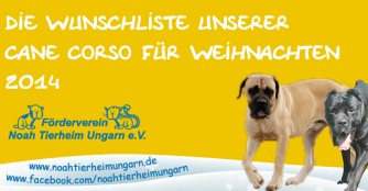 Der Wunschzettel der Cane Corso an den Weihnachtsmann