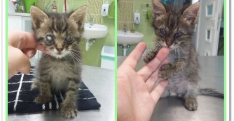 C&eacute;kla's Augen sehen schon viel besser aus!