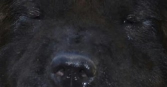 China hofft auf eine bessere Zukunft