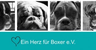 Ein Herz f&uuml;r Boxer!