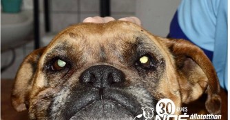 Cser&eacute;p muss zum CT 