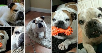 EllieEllie im Gl&uuml;ck!