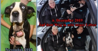 Ezredes hat endlich seine Menschen gefunden